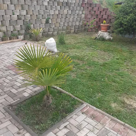 Resthouse Pansion Bianko سكوبجي